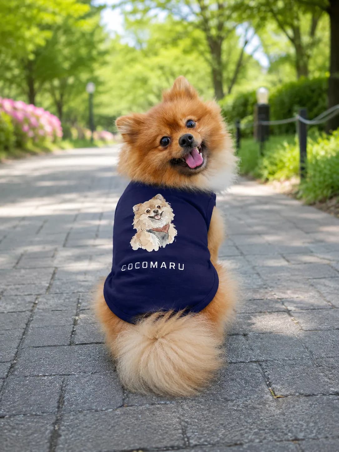 犬用Tシャツ