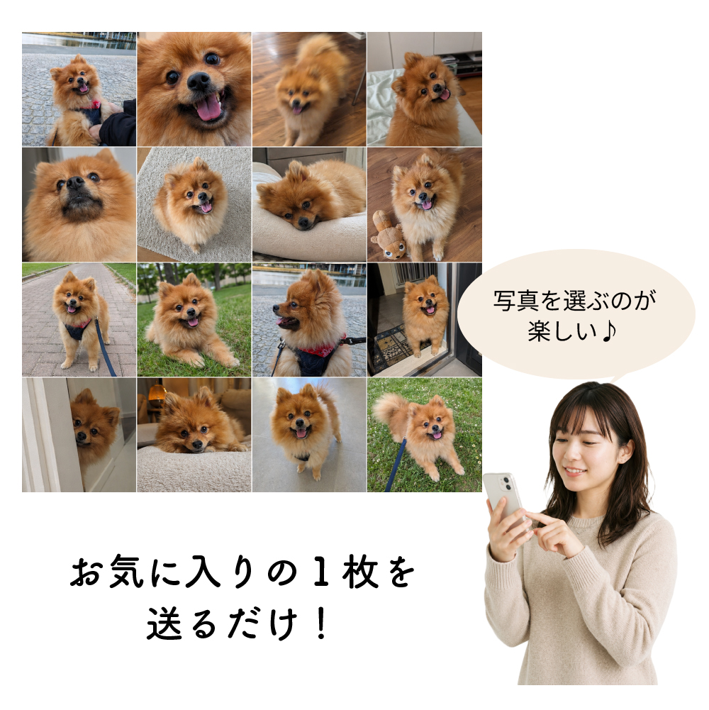 写真を送るだけ