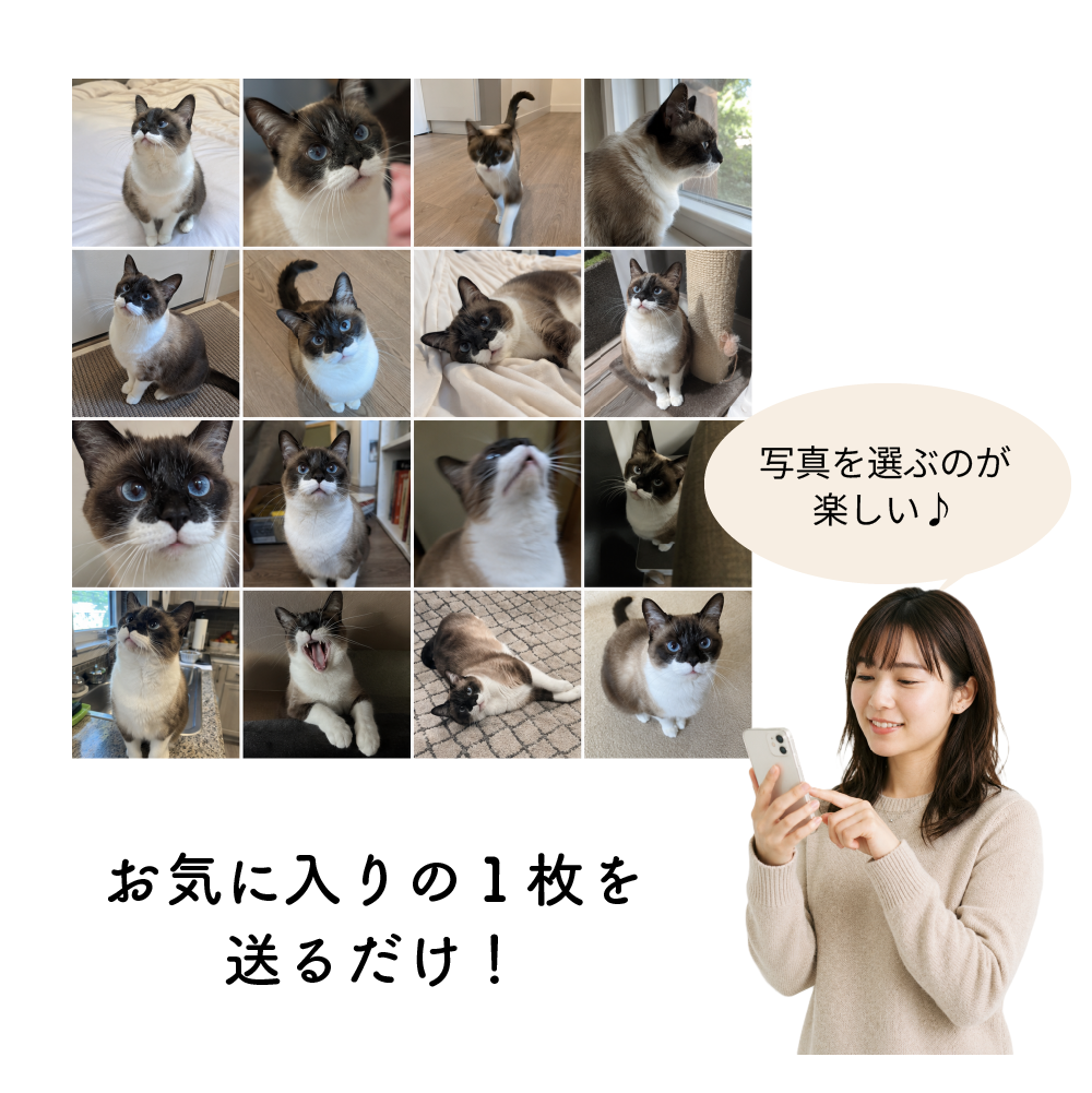 写真を送るだけ