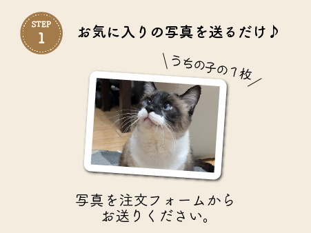 STEP1：お気に入りの写真を送るだけ
