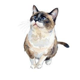 水彩